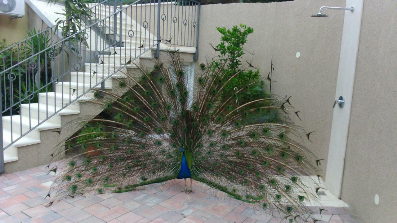 Apartamento Anka Strman Makarska Exterior foto