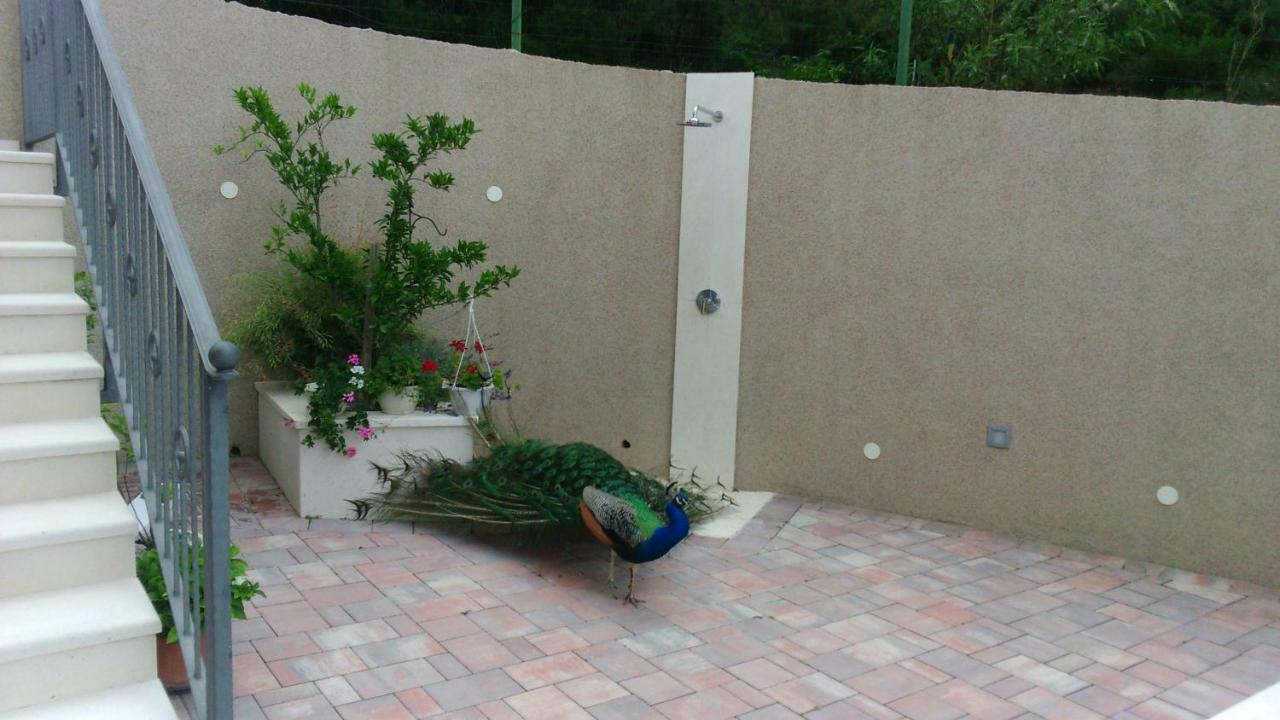 Apartamento Anka Strman Makarska Exterior foto